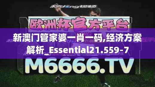 新澳门管家婆一肖一码,经济方案解析_Essential21.559-7