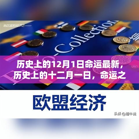 十二月一日，命运之轮的新篇章开启