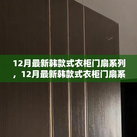 12月最新韩风衣柜门扇系列，时尚与实用的完美融合