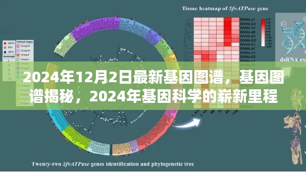 揭秘基因图谱，2024年基因科学的崭新里程碑