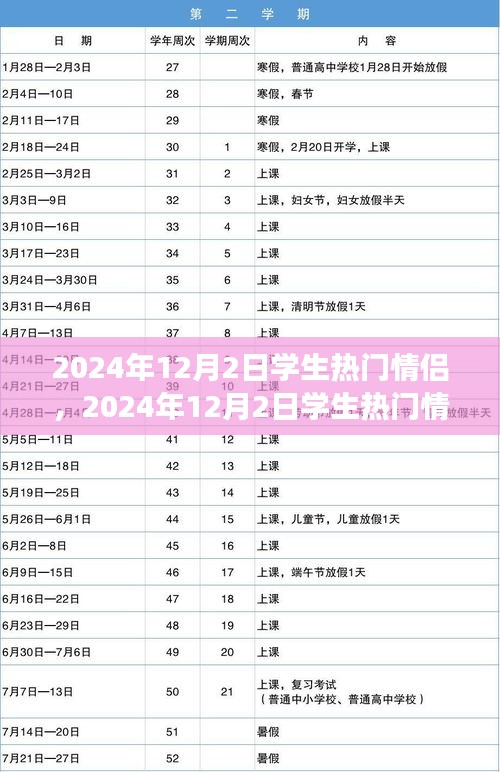 2024年学生情侣现象观察，热门情侣背后的情感趋势