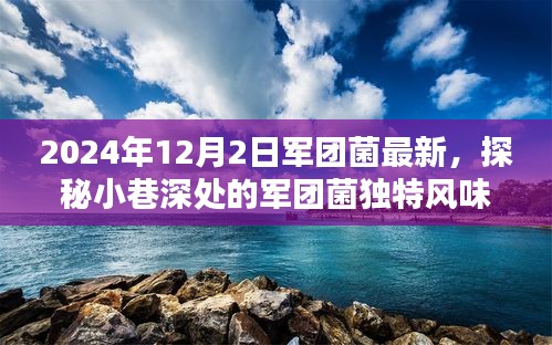 探秘小巷深处的军团菌独特风味，2024年最新发现揭秘其独特魅力