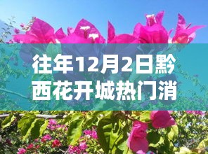 黔西花开城科技盛宴，揭秘最新高科技产品，体验未来生活魅力之旅