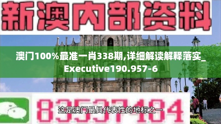 澳门100%最准一肖338期,详细解读解释落实_Executive190.957-6