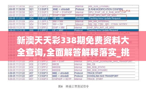 新澳天天彩338期免费资料大全查询,全面解答解释落实_挑战款189.571-5