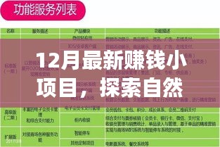 十二月最新赚钱小项目，自然美景之旅，探索宁静与富饶的财富之路