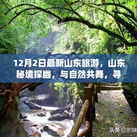 山东秘境探幽之旅，与自然共舞，心灵净土的寻找之旅（12月最新）