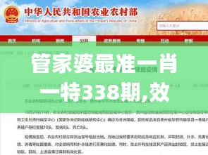 管家婆最准一肖一特338期,效率资料解释落实_超级版82.137-3