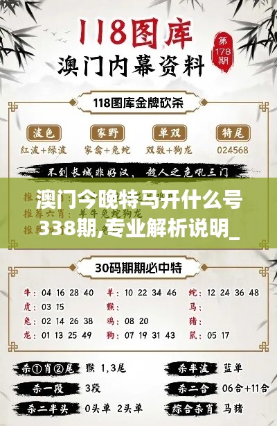 澳门今晚特马开什么号338期,专业解析说明_Mixed31.136-1