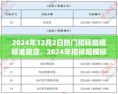 深度解读2024年招标规模标准规定，行业热门动态与前瞻