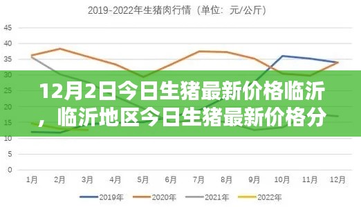 临沂地区今日生猪最新价格分析与趋势探讨，背后的因素及展望