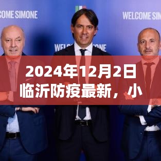 2024年12月2日临沂防疫最新动态深度解析与小红书分享