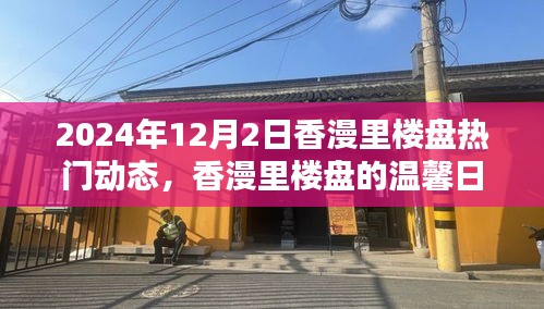 香漫里楼盘温馨日常，奇遇与情感纽带，2024年12月最新动态