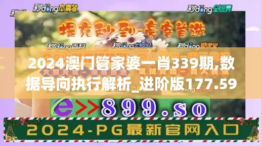 2024澳门管家婆一肖339期,数据导向执行解析_进阶版177.595-4