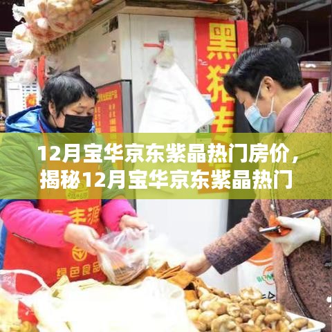 揭秘，12月宝华京东紫晶热门房价与购房者福音时刻！