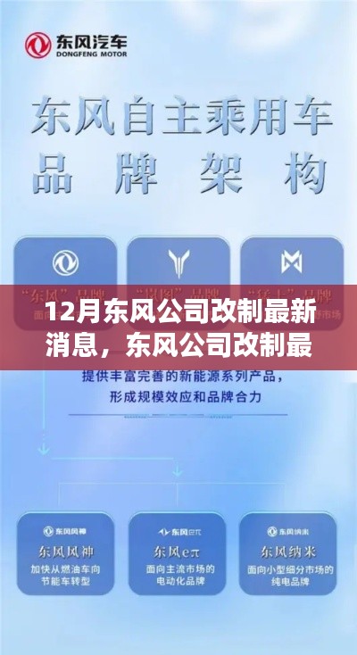 东风公司改制深度解析，产品特性、用户体验与竞品对比的最新消息