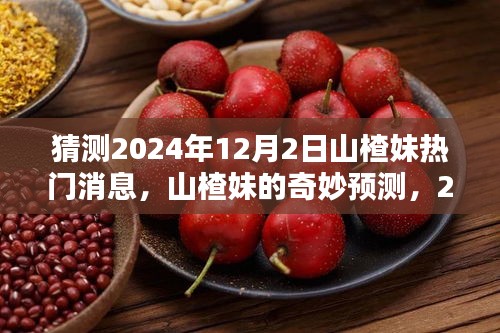 山楂妹的奇妙预测，揭秘2024年12月2日的温馨惊喜与热门消息揭秘