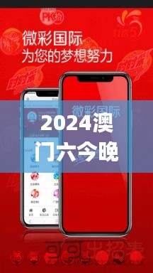 2024年12月4日 第33页