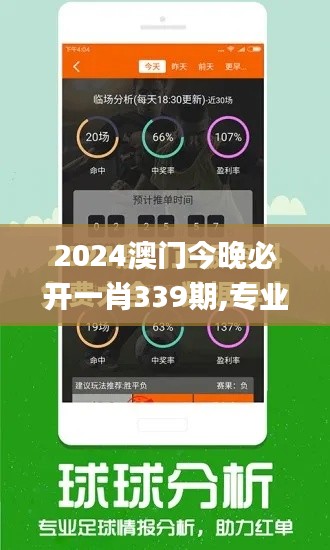 2024澳门今晚必开一肖339期,专业评估解析_L版82.641-6