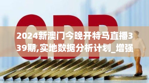 2024新澳门今晚开特马直播339期,实地数据分析计划_增强版187.858-7