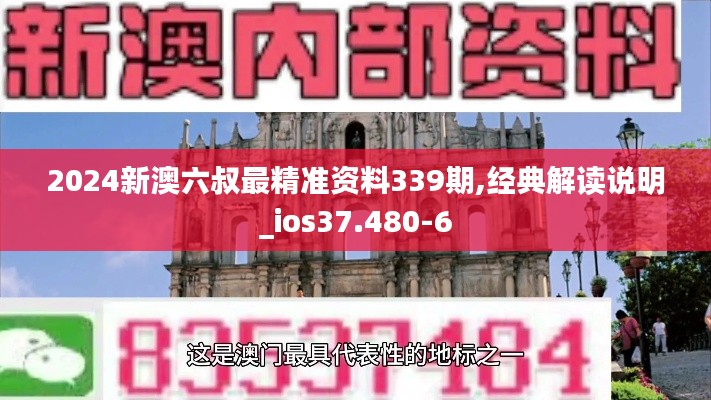 2024新澳六叔最精准资料339期,经典解读说明_ios37.480-6