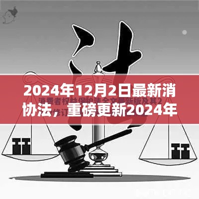 重磅更新！深度解读2024年消协法，权益保障再升级