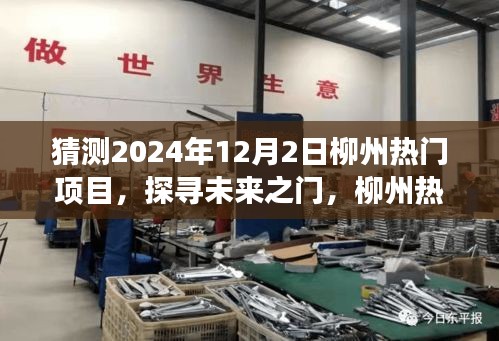 探寻未来之门，深度剖析柳州热门项目展望（2024年视角）