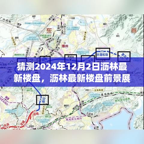 沥林最新楼盘展望，揭秘2024年12月2日的未来趋势与前景猜想