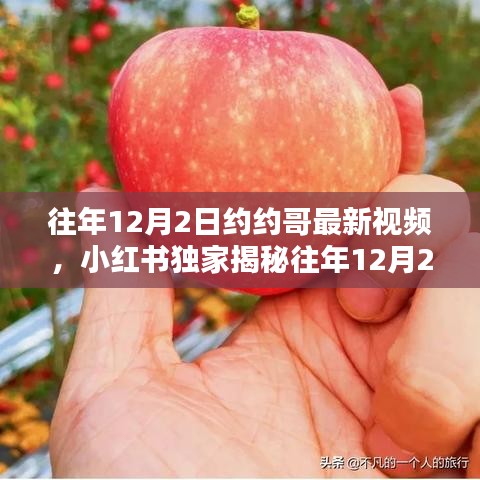 比翼鸟 第2页