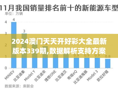 2024澳门天天开好彩大全最新版本339期,数据解析支持方案_战略版53.455-3