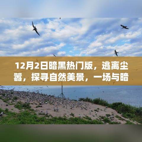 暗黑热门版心灵之旅，逃离尘嚣，探寻自然美景的奇幻之旅