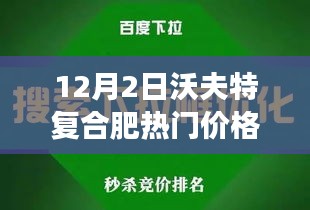 2024年12月4日 第13页