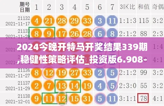 2024今晚开特马开奖结果339期,稳健性策略评估_投资版6.908-8