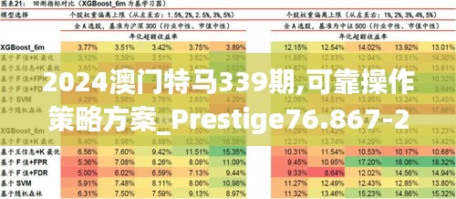 2024澳门特马339期,可靠操作策略方案_Prestige76.867-2