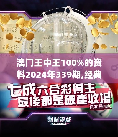 澳门王中王100%的资料2024年339期,经典解读解析_V44.701-8