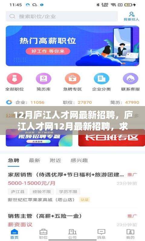 庐江人才网12月最新招聘，职场奇遇与友情温暖相伴的求职之旅