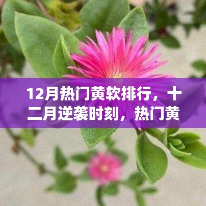 十二月逆袭时刻，热门黄软排行背后的励志故事与自信成就之旅