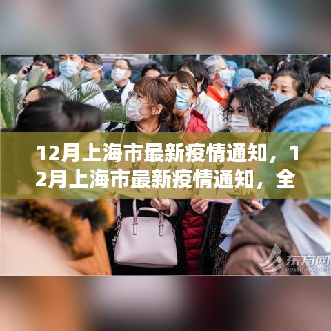 全面理解并应对上海最新疫情通知，应对策略与指南