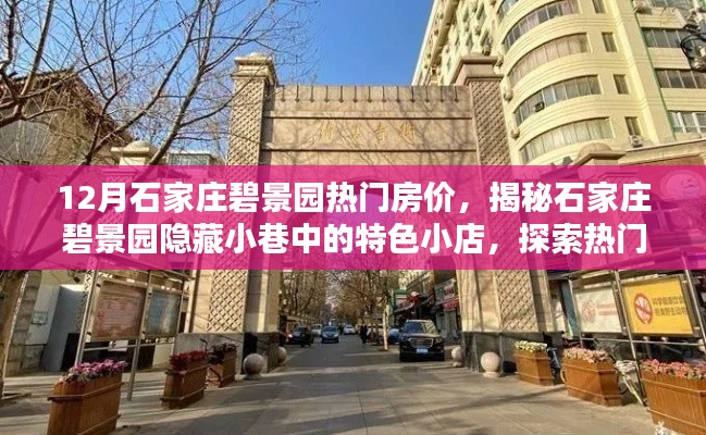 揭秘石家庄碧景园，特色小店与热门房价背后的独特风景探索