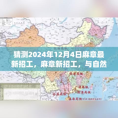 麻章最新招工，与自然美景同行，心灵宁静之旅启程于2024年12月4日