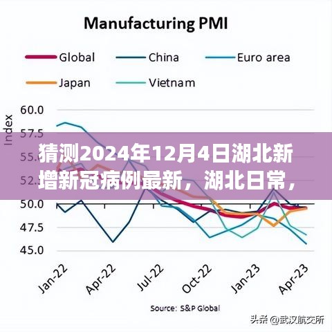 关于湖北未来新冠病例的温馨猜测之旅，2024年湖北日常新增病例预测报告