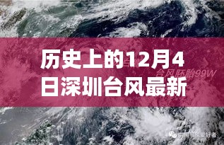 纪念历史上的十二月四号台风事件，深圳的坚韧与成长面对台风挑战的视频记录