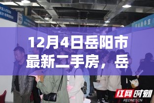 岳阳市最新二手房市场动态解析与观点分享（12月4日）