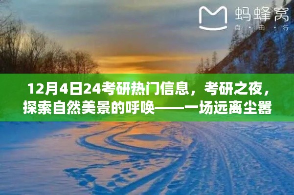 考研之夜，探索自然美景的心灵之旅，热门信息一网打尽