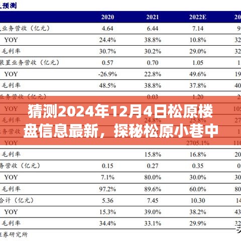 松原楼盘最新动态揭秘，探秘小巷隐藏宝藏与独特小店故事，预测未来松原楼盘发展趋势（2024年松原楼盘最新资讯）