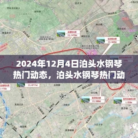 泊头水钢琴热门动态揭秘，文化解读与个人观点的独特视角（2024年12月4日）