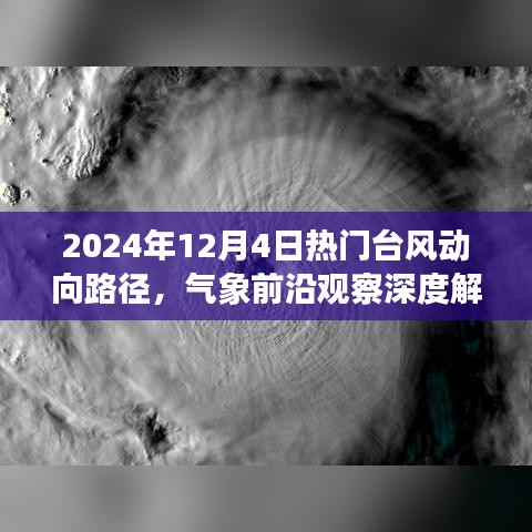 深度解析与预测系统评测，2024年12月4日热门台风动向路径与气象前沿观察