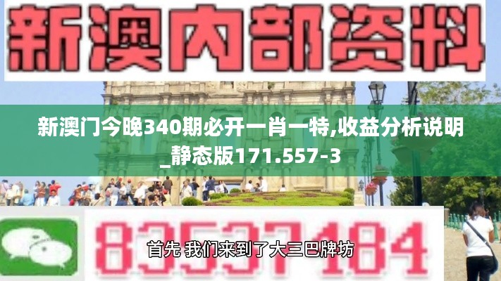 新澳门今晚340期必开一肖一特,收益分析说明_静态版171.557-3