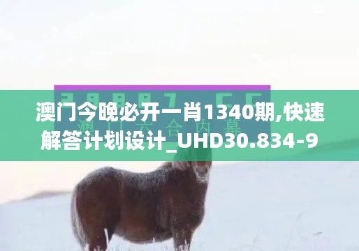 澳门今晚必开一肖1340期,快速解答计划设计_UHD30.834-9