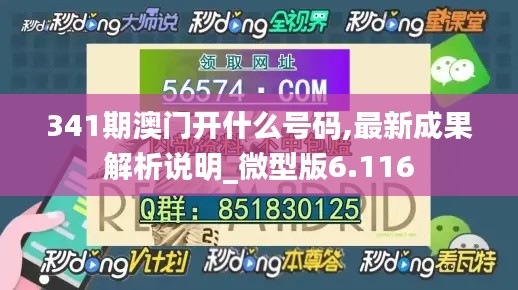 341期澳门开什么号码,最新成果解析说明_微型版6.116